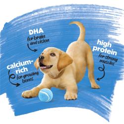 A yellow lab puppy bows down playfully with a blue tennis ball on a white and blue background. Text with arrows pointing to the puppy reads "ca;cium-rich for growing bones, DHA for brain and vision, high protein for strong muscles."