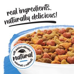 A close-up of a bowl of kibble on a blue and white background. Above text reads "real ingredients, naturally delicious." A badge next to the kibble reads "naturals with added vitamins, minerals and nutrients."