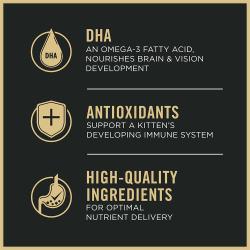 Cat food package label highlighting DHA antioxidants and high quality ingredients.