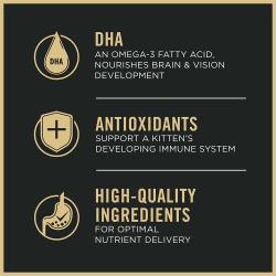 Cat food package label highlighting DHA antioxidants and high quality ingredients.
