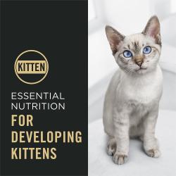 Purina Pro Plan Complete Essentials contains nutrition formulated for developing kittens.