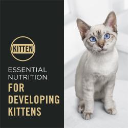 Purina Pro Plan Complete Essentials contains nutrition formulated for developing kittens.