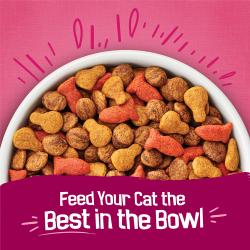Friskies Gravy Swirlers kibble in a bowl. Feed your cat the best in the bowl.
