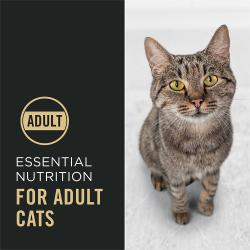 Pro Plan Complete Essentials dry cat food is essential nutrition for adult cats.