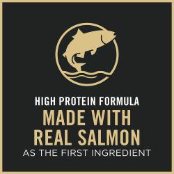 Pro Plan Complete Essentials dry cat food is a high protein formula made with real salmon as the first ingredient.