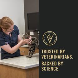 Veterinarian examining a cat. Trusted by veterinarians and backed by science.