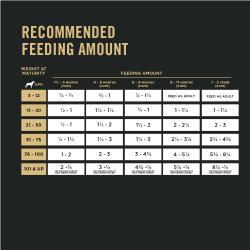 Cantidad diaria de alimento recomendada