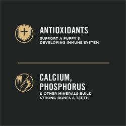 antioxidantes, calcio, fósforo