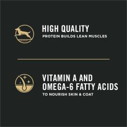 la proteína de alta calidad favorece el desarrollo de músculos magros, vitamina A y ácidos grasos omega 6