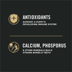 antioxidantes, calcio, fósforo