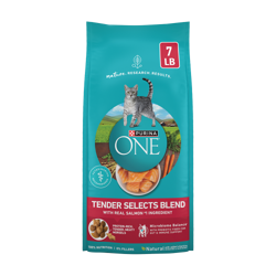 Purina ONE Tender Selects Blend with real salmon dry cat food package.