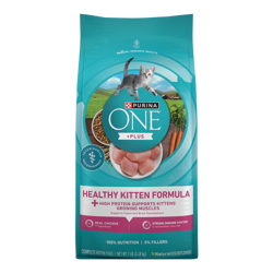 Bag of Purina ONE +Plus Healthy Kitten Chicken Dry Cat Food.
