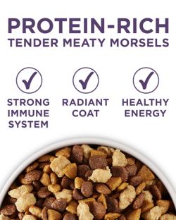 bocadillos de carne tierna ricos en proteínas