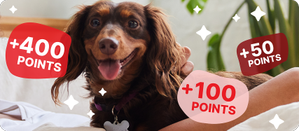 Earn More Points in More Ways