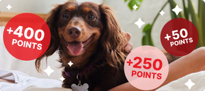 Gane más puntos de más maneras