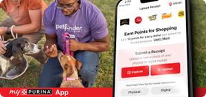 a person from Petfinder giving dogs treats