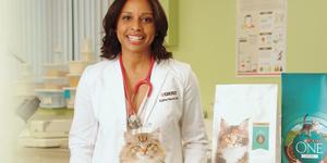 tall desktop batch 4 kitten rebate