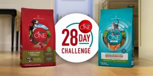 A group of Purina ONE dog and cat food