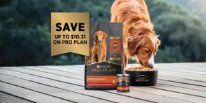 Save up to $10.31 on Pro Plan. Dog eating Pro Plan dog food.