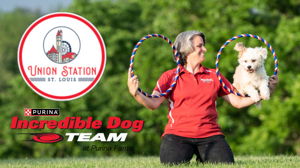 Union Station Web Header for Incred. Dog