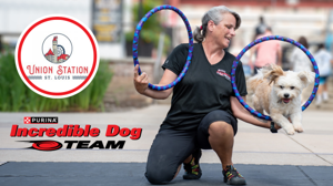 Incredible Dog Team, woman holding up a hoop while dog jumps thru