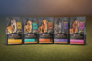 Lineup of Purina Pro Plan dry dog food packages.