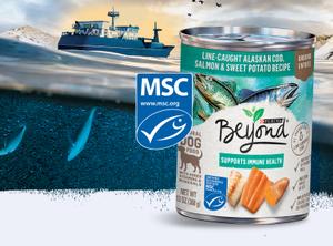 Beyond MSC certified dog food recipe over an image of a boat in water
