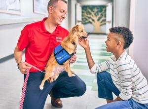 Touch Therapy Dog and kid