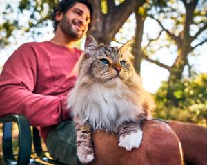 A smiling man sits outside with a fluffy cat on his lap.