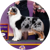 Ribbon, an Australian Shepherd, Herding Group Winner