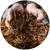 Hands holding mulch as part of a regenerative farming practice for better carbon storage and water retention.
