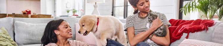 people with puppy and kitten on couch