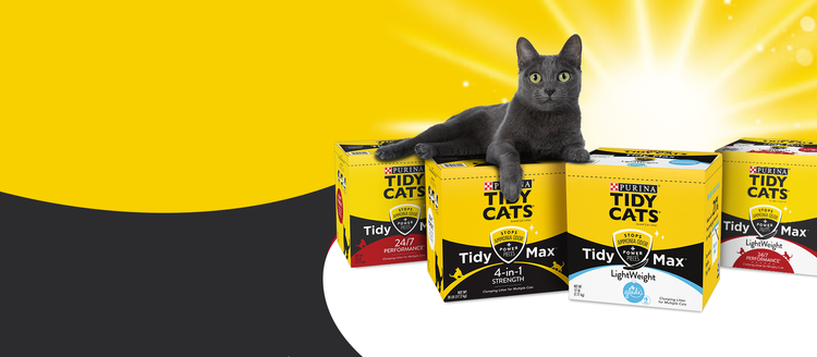 Tidy Cats Tidy Max Litter