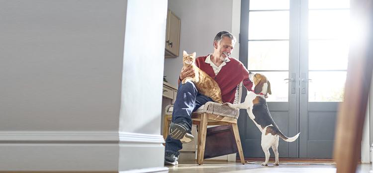 Find Your Pet’s Perfect Portion