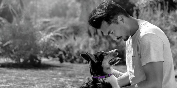 Retail Partners Making a Difference for Purple Leash Project