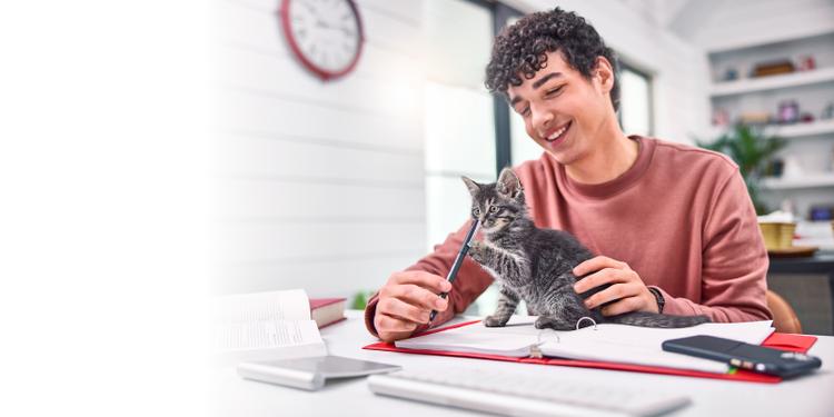 A student petting a kitten sitting on a desk pawing at a pen
