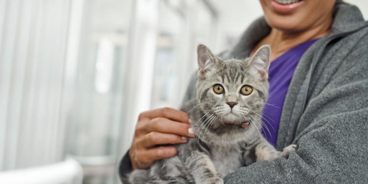 Reward Your Pets While Helping to Save Others