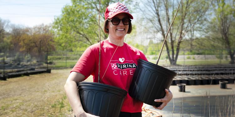 A Purina employee helps plant trees in partnership with Forest ReLeaf in Missouri.