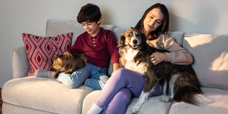 Woman and child sitting on couch with dog and cat