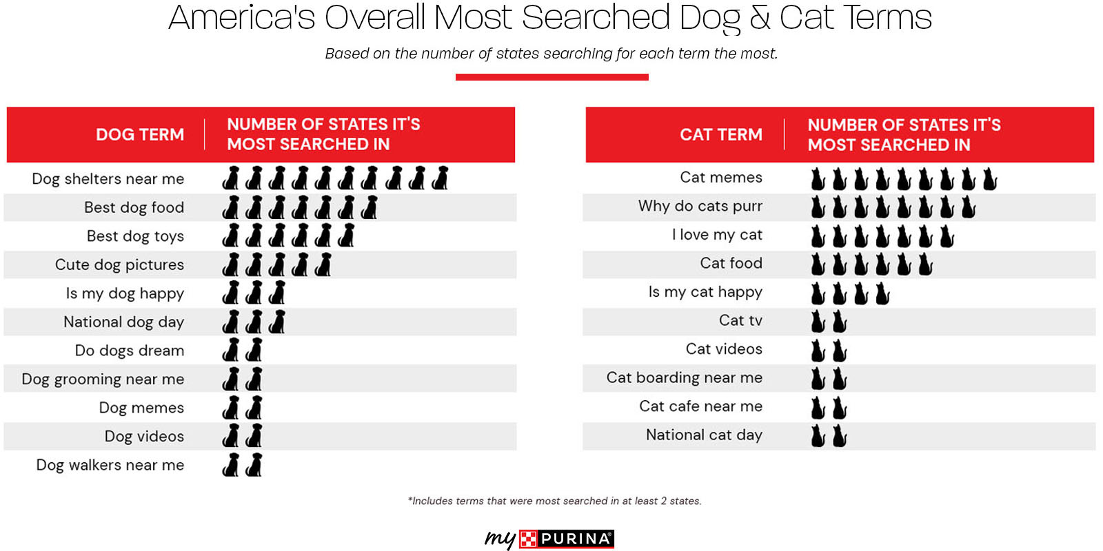 Americas overall most searched dog and cat terms