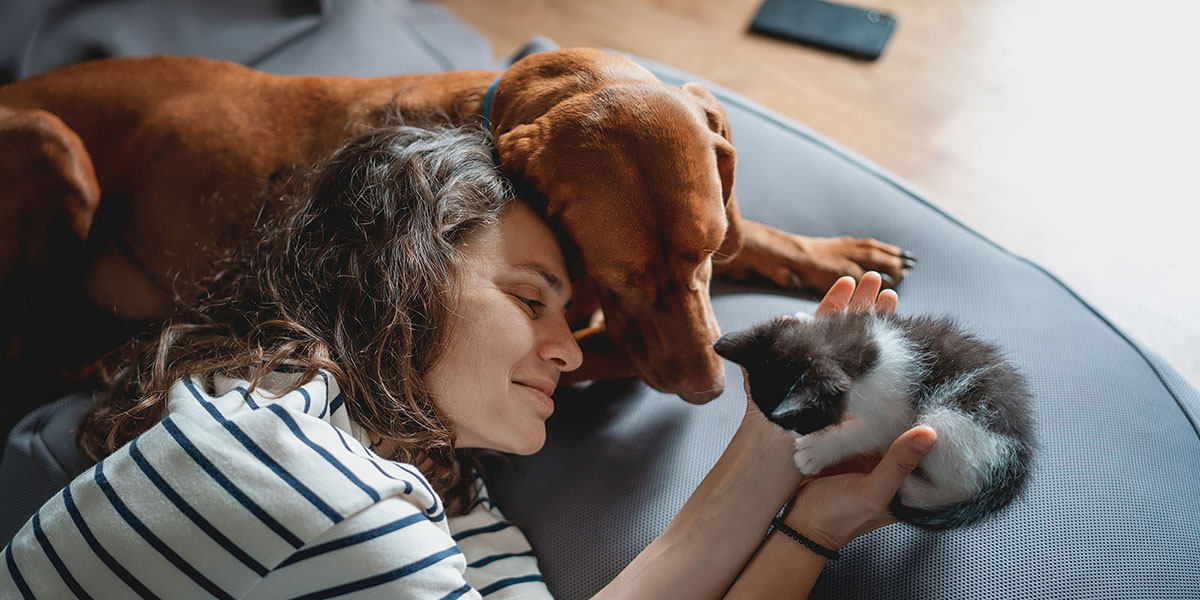 Owner hugging dog and kitten