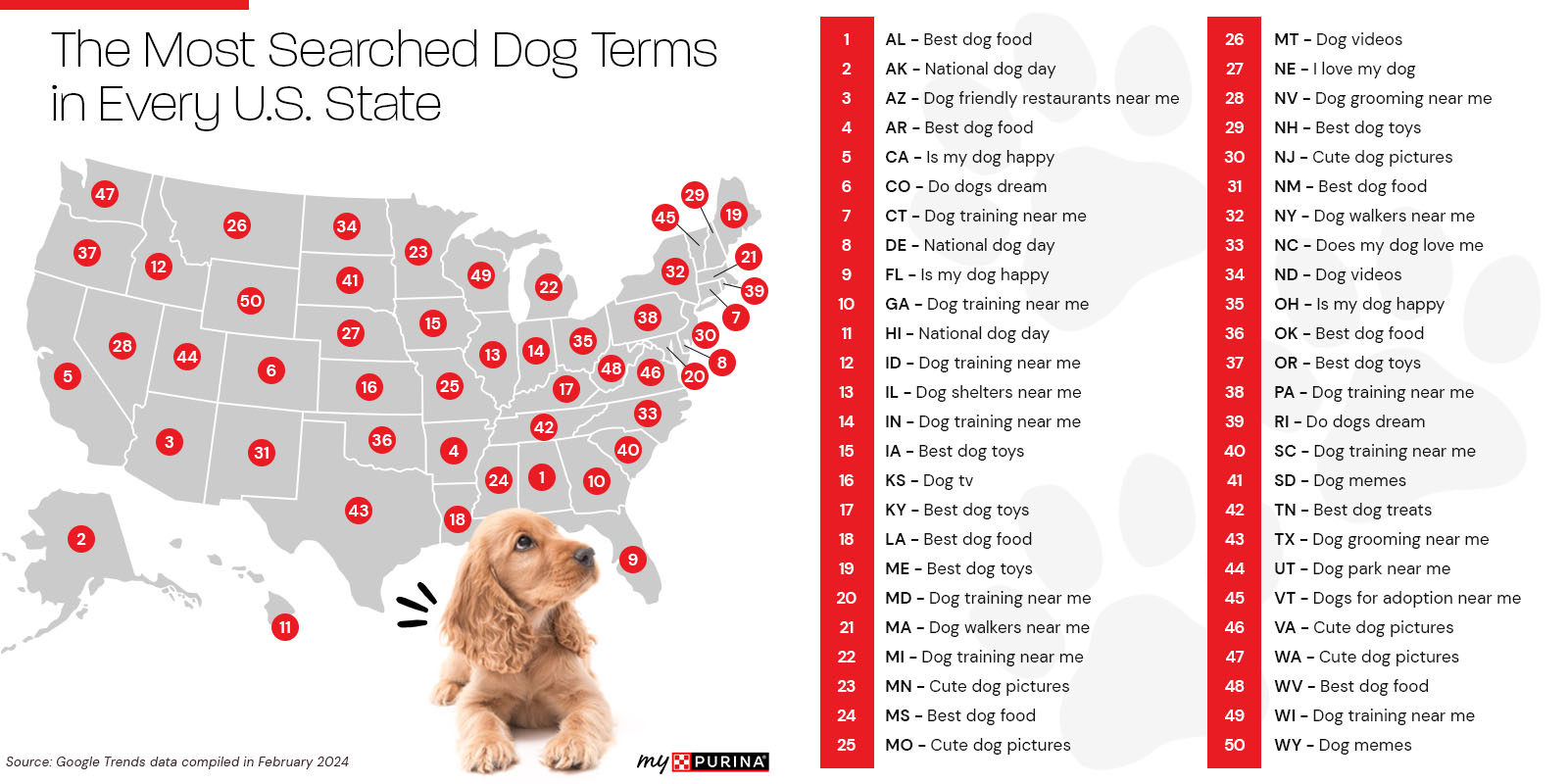 The most searched dog terms in every state infographic