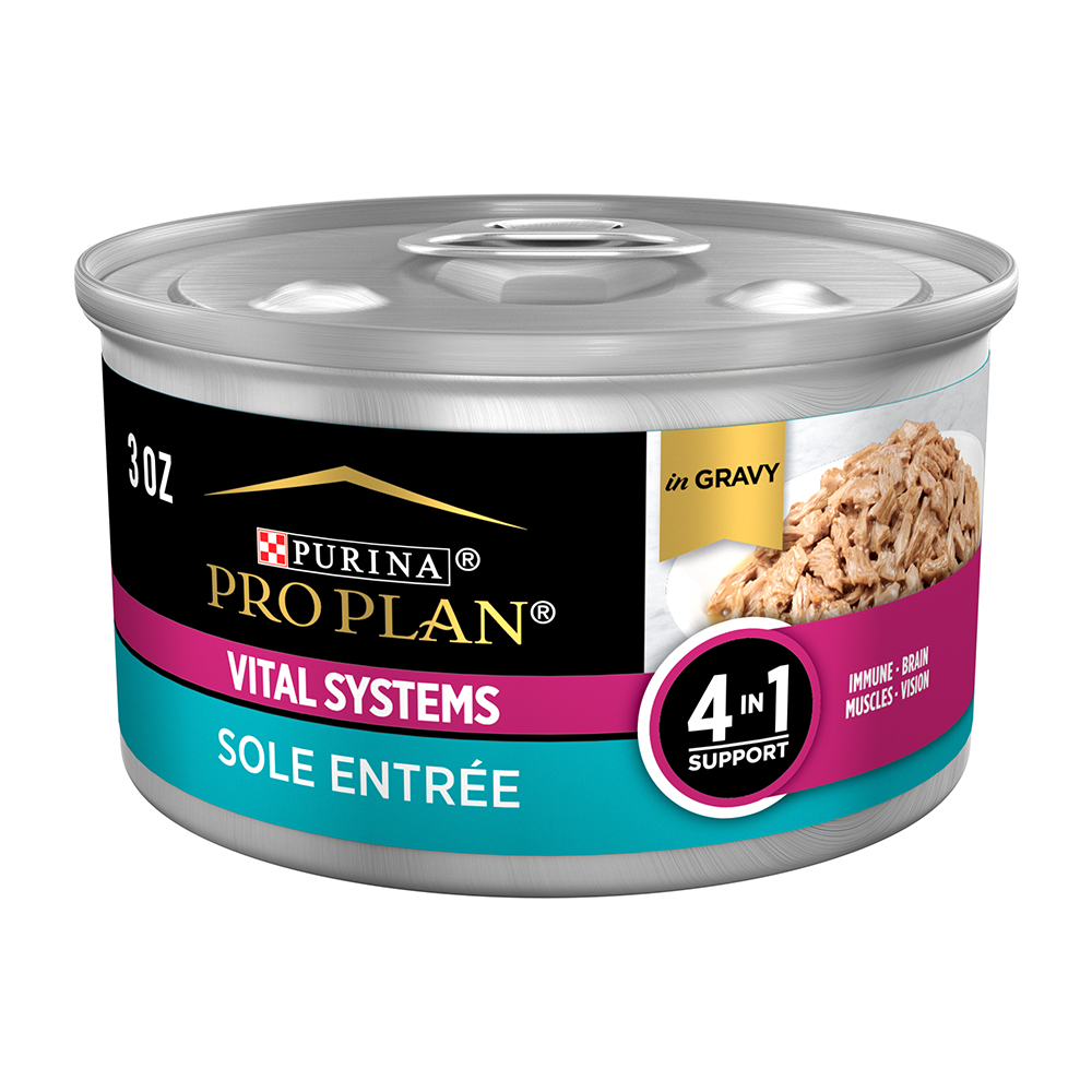 Vital cat clearance food