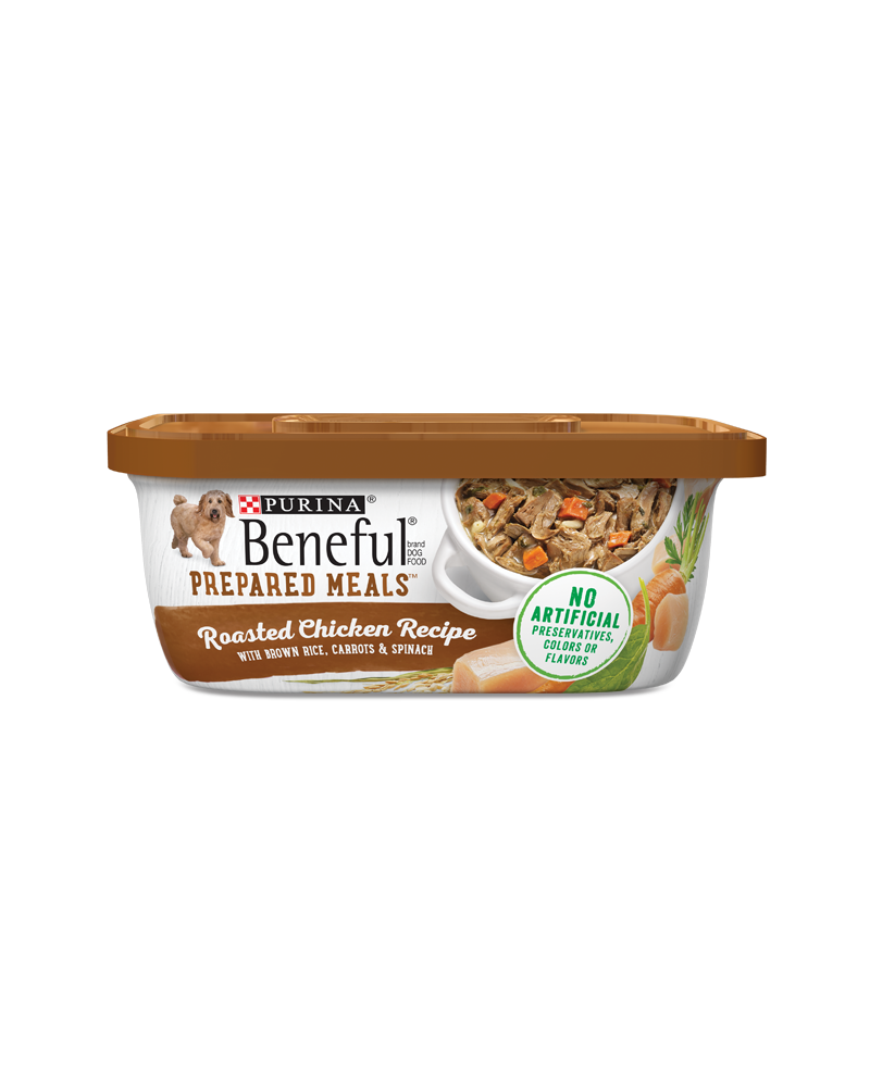 Beneful wet dog food sale