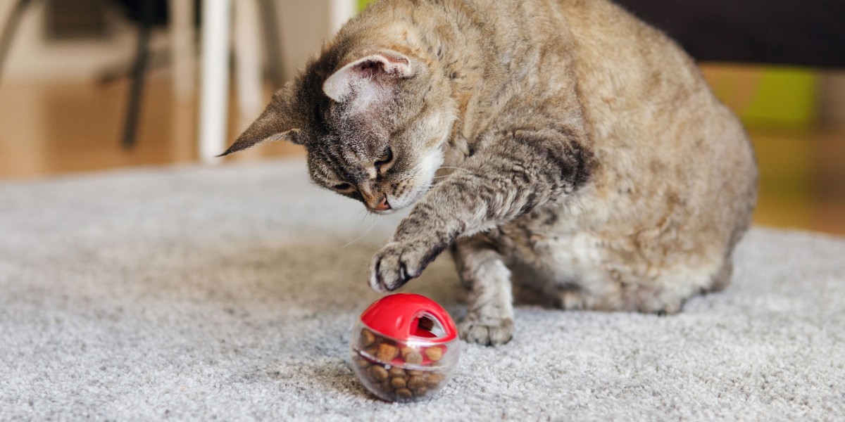 Shops diy cat feeder toy