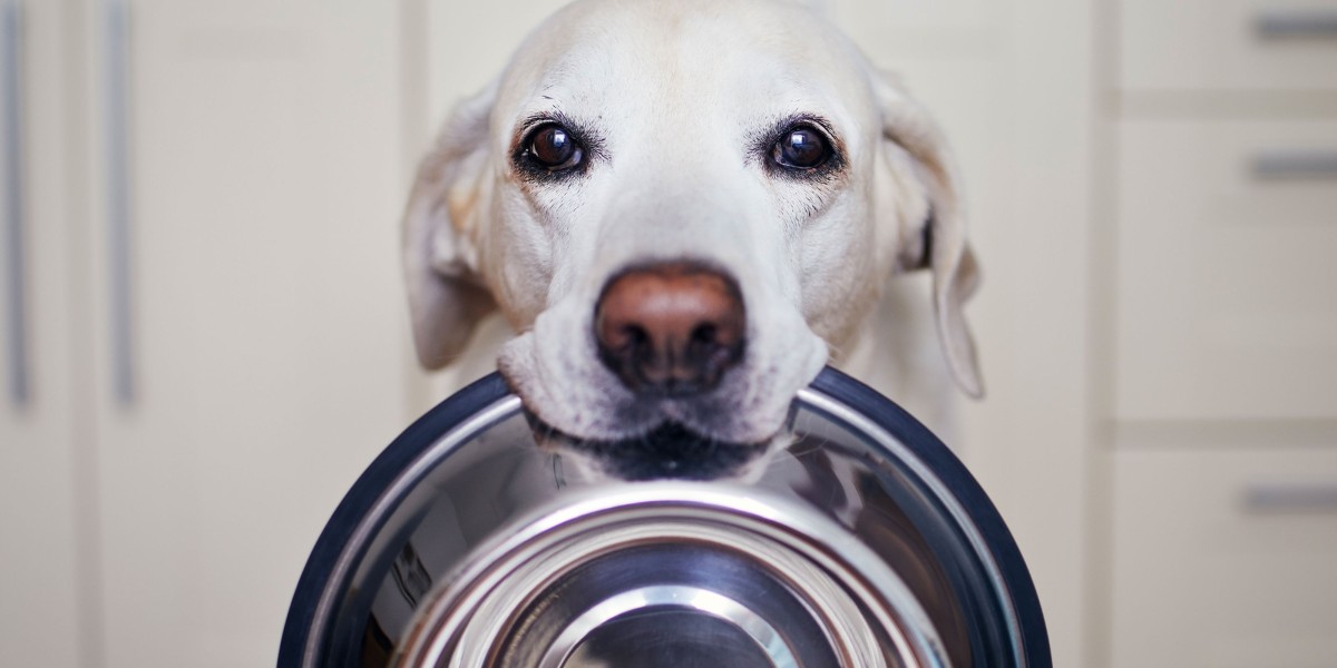 Dog food with meat as first ingredient best sale