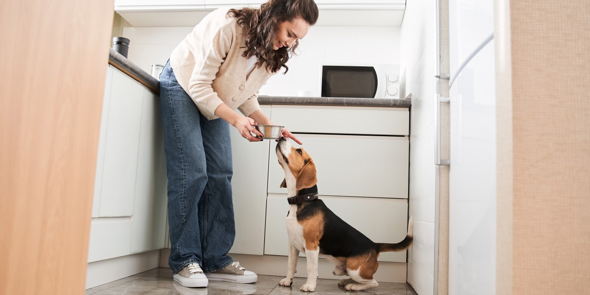 Giving puppy food to older dogs best sale