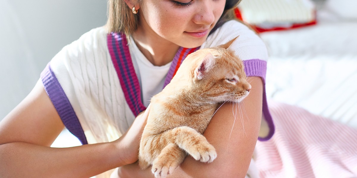 Cat Rash Common Causes Symptoms Treatments Purina US