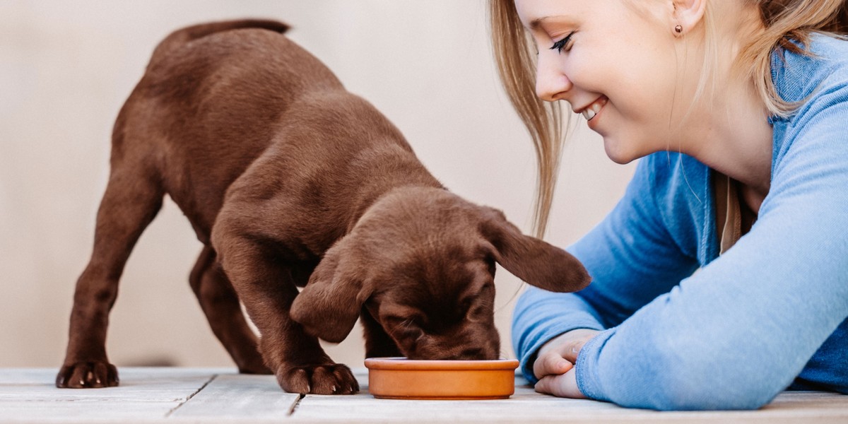 At what age do puppies start eating food best sale