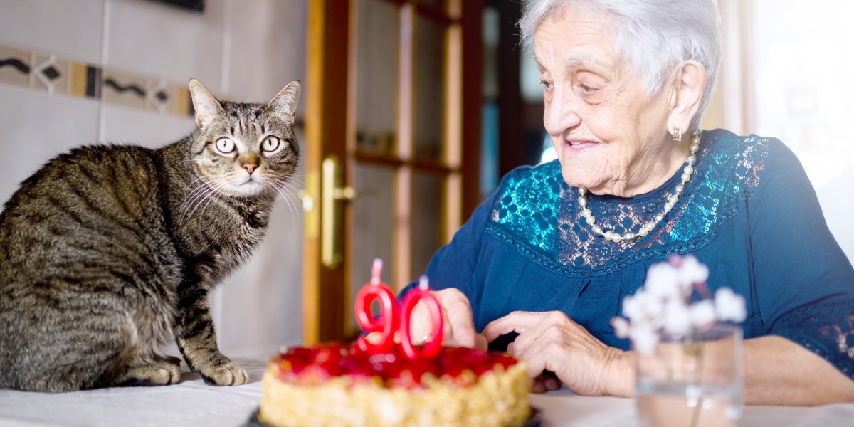 How much cat orders years are in a human year